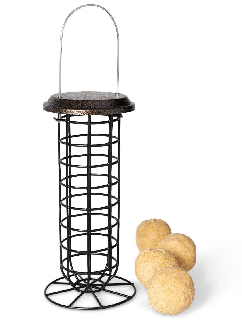 Suet Ball & Feeder Combo Set - Image 2