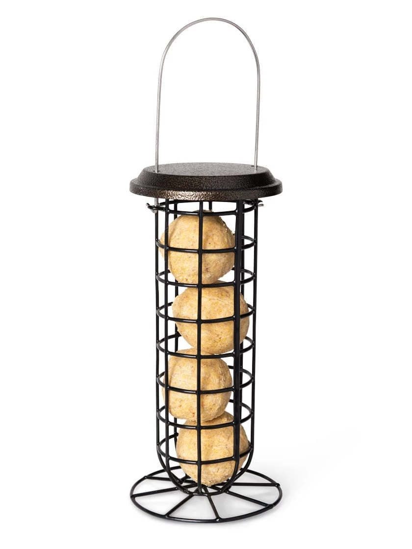 Suet Ball & Feeder Combo Set - Image 4