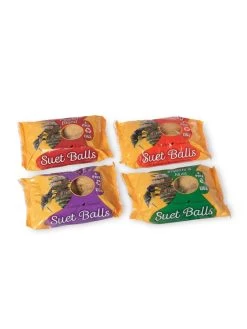 Suet Balls, 4-Pack