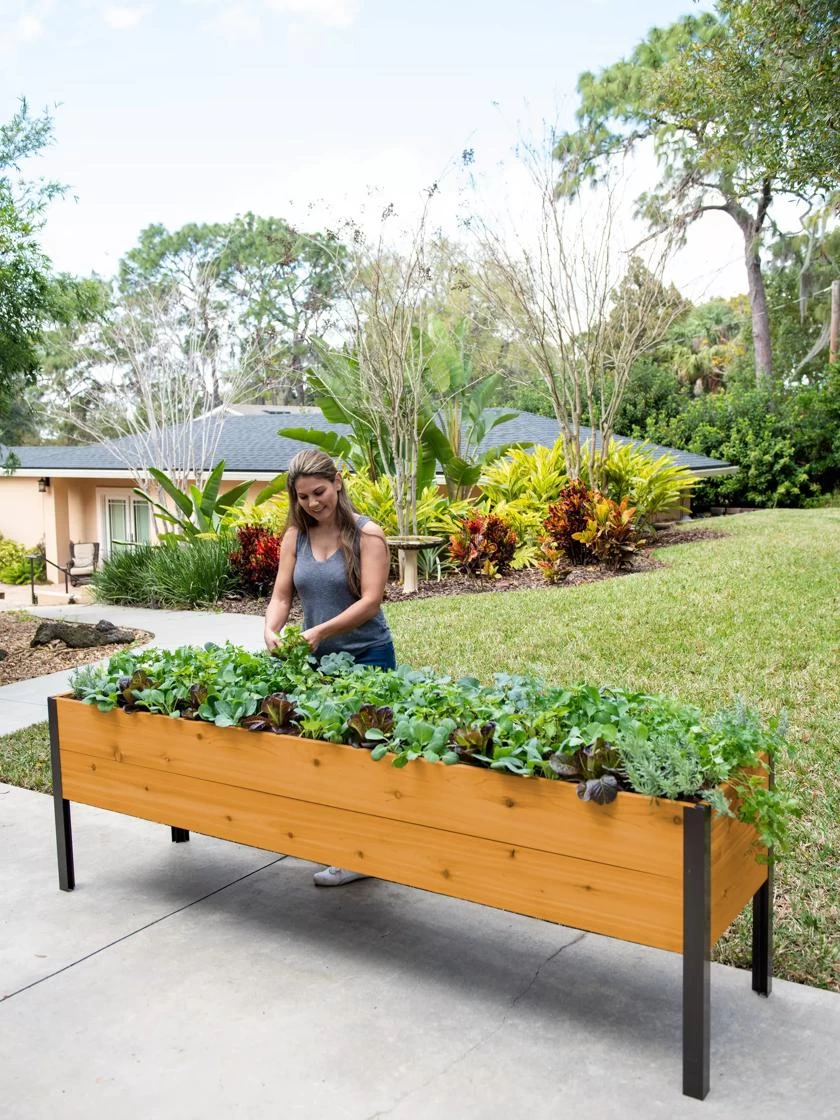 Self-Watering Eco-Stained Elevated Planter Box, 2' X 8' - Image 6