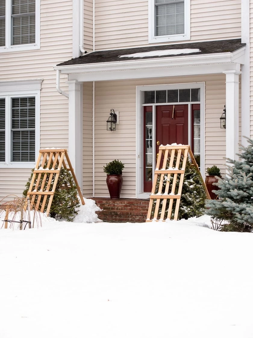 Cedar Shrub Guard - Image 2