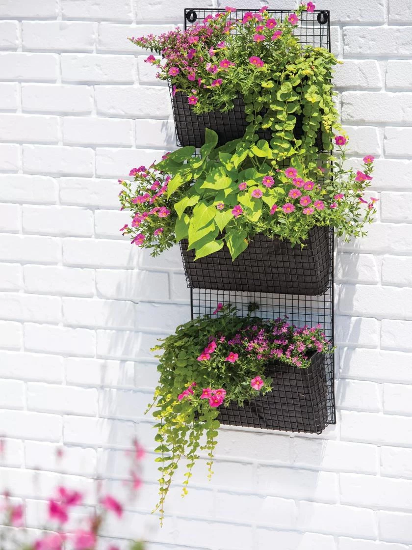 Wire Wall Pockets Vertical Gardens