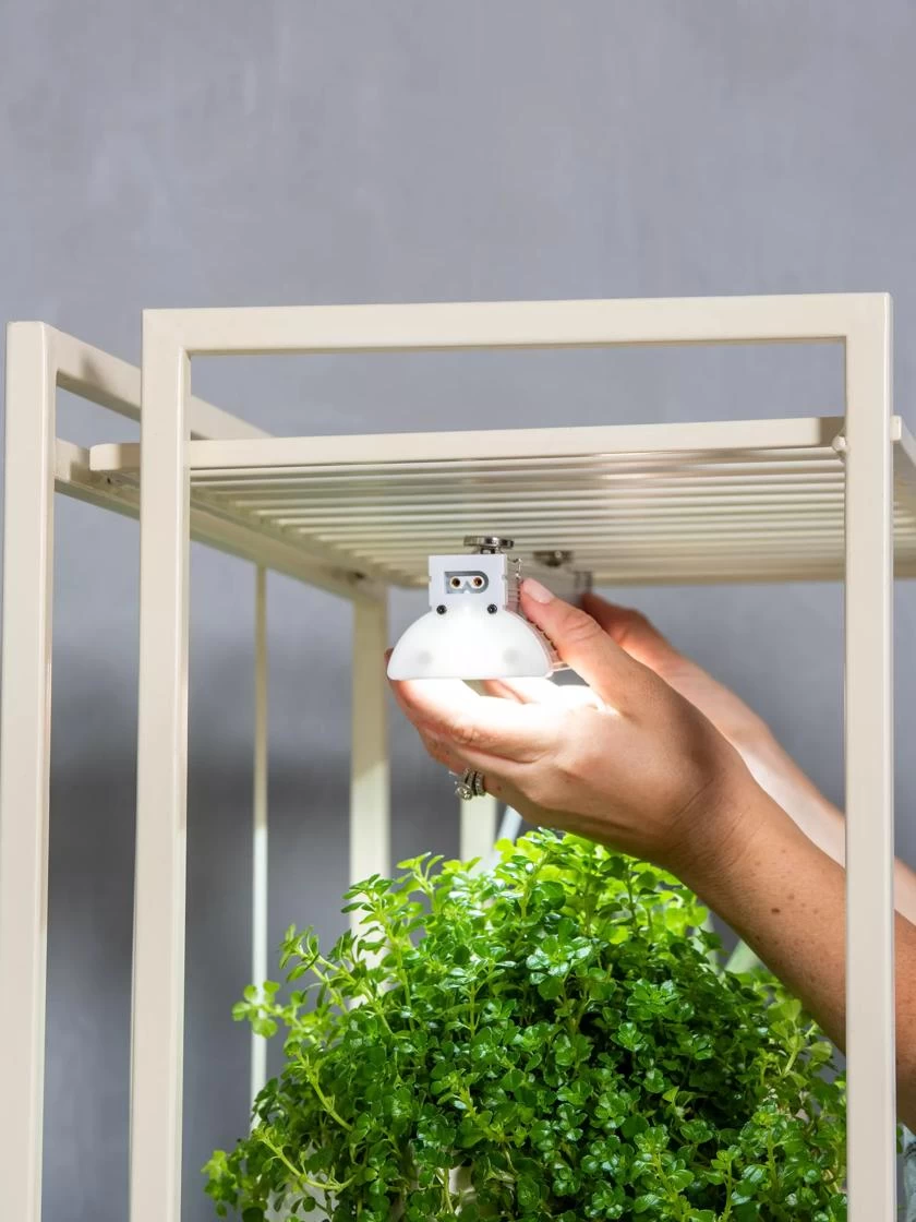 Oslo 2-Tier LED Grow Light Garden, 2 Fixtures - Image 8