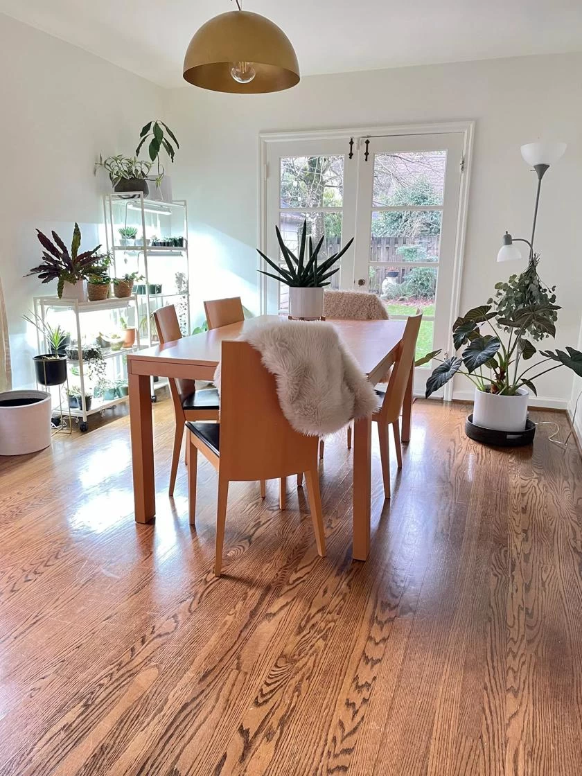 Oslo 2-Tier LED Grow Light Garden, 2 Fixtures - Image 11