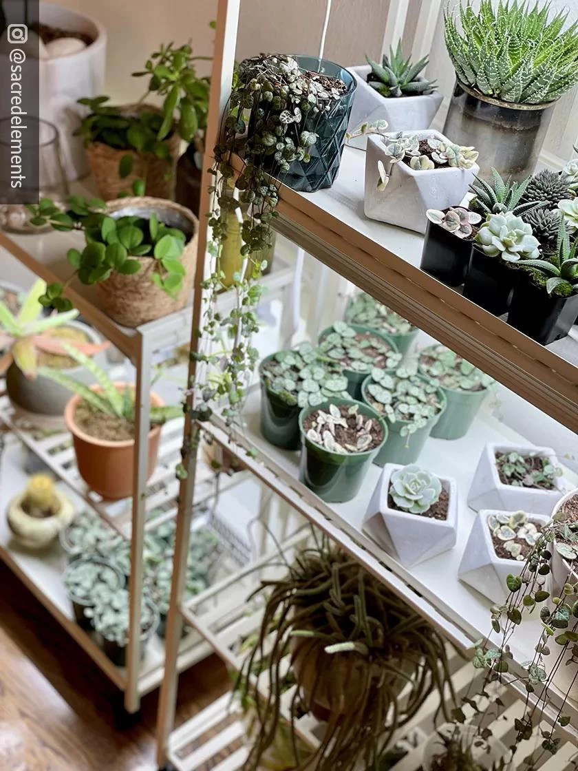 Oslo 2-Tier LED Grow Light Garden, 2 Fixtures - Image 12