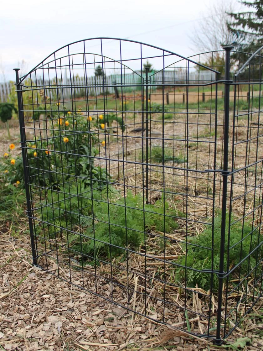 4 Panel Critter Fence - Image 2