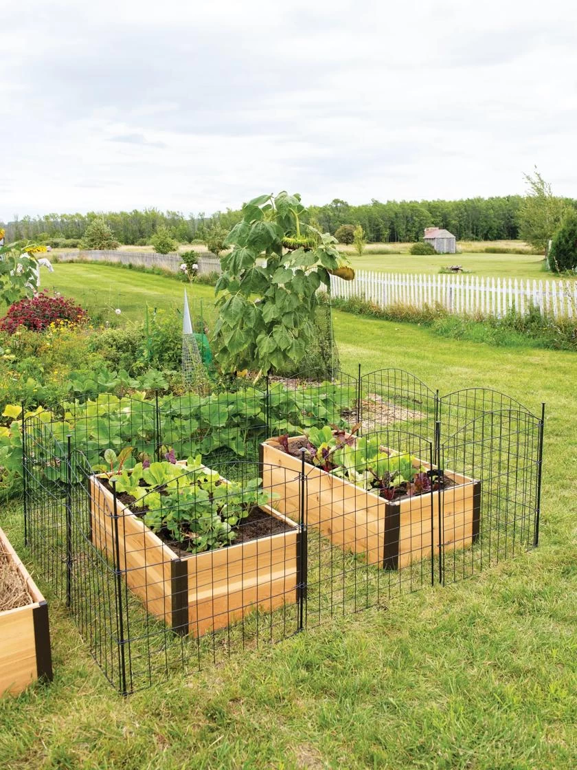 6 Panel Critter Fence With Gate - Image 6