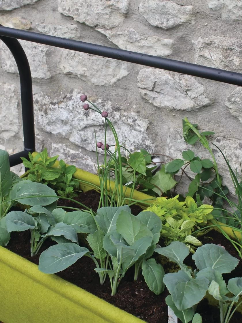 Vigorootâ„¢ Self-Watering Easy Garden Planter - Image 5