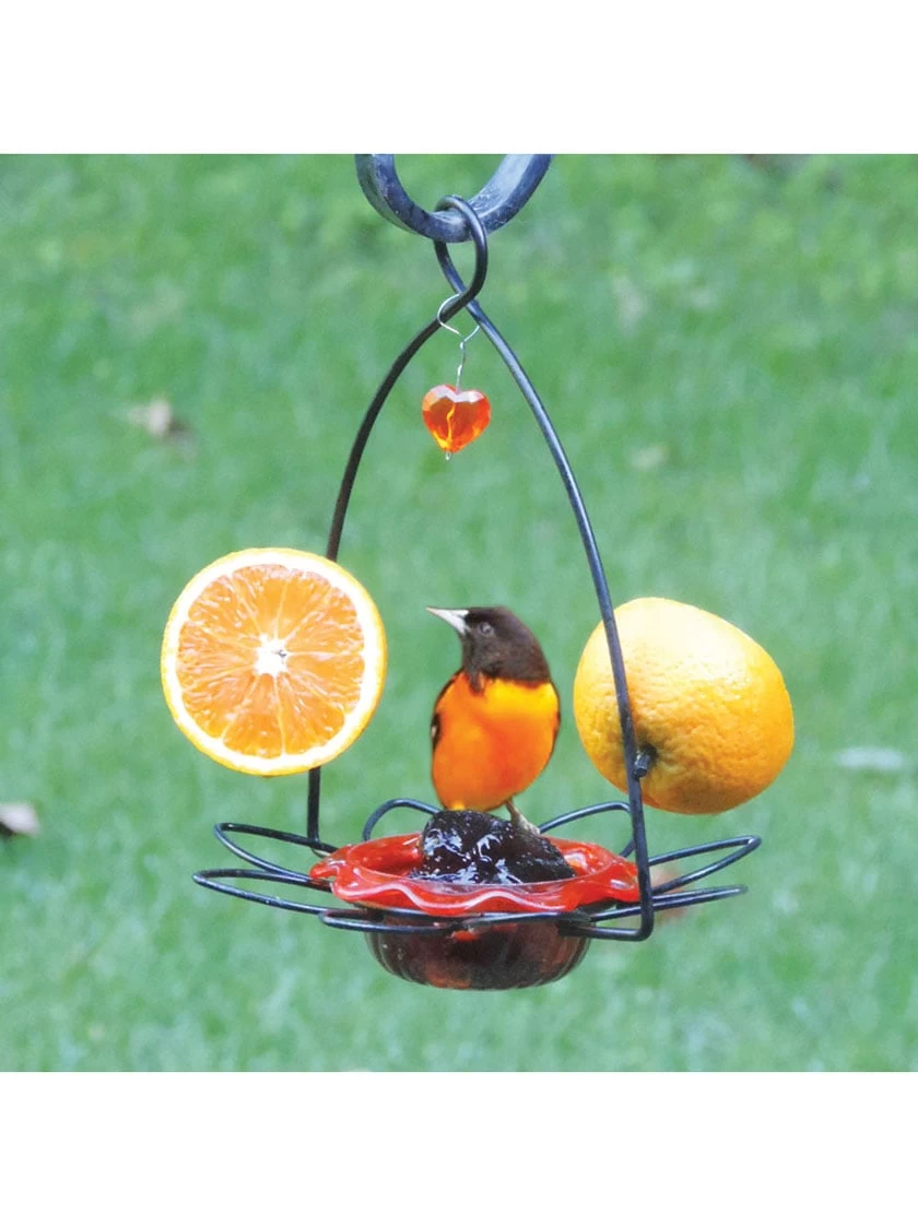 Birds Choice ™ Oriole Flower Feeder - Image 2