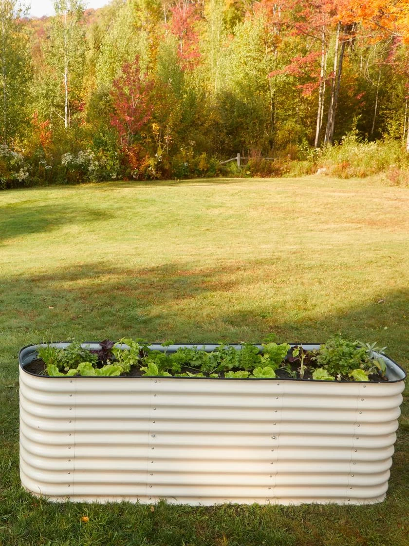 Birdies™ Modular Metal Raised Bed, Tall - Image 3