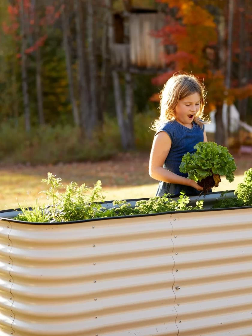 Birdies™ Modular Metal Raised Bed, Tall - Image 4