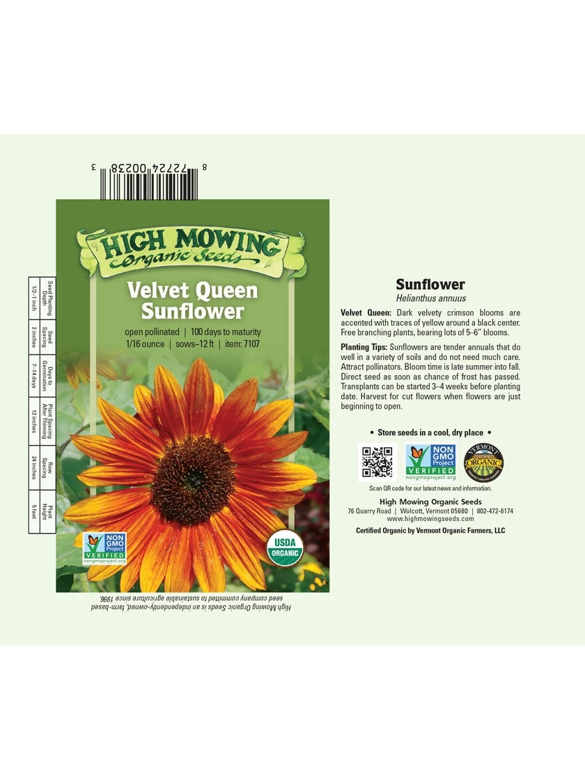 Velvet Queen Sunflower Organic Seeds - Image 3