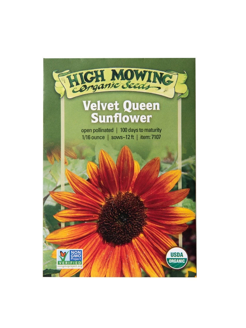 Velvet Queen Sunflower Organic Seeds
