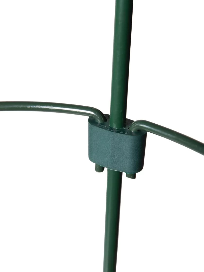 Peacock Mini Plant Support Rings 8", Set Of 2 - Image 5