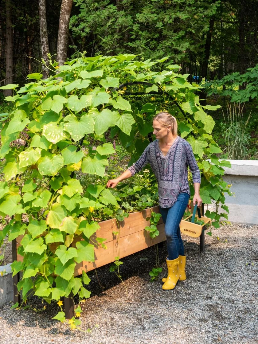 2’ X 8’ Arch Trellis For Planter Boxes - Image 2