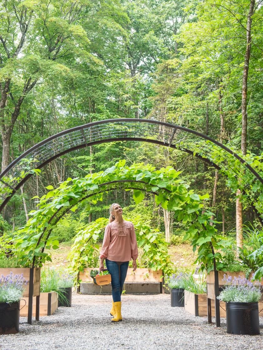 2’ X 8’ Arch Trellis For Planter Boxes - Image 4