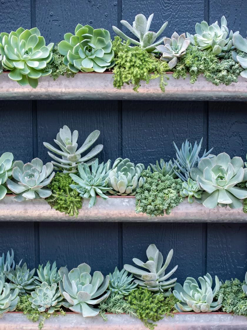 3-Tier Vertical Wall Planter, 3' - Image 4