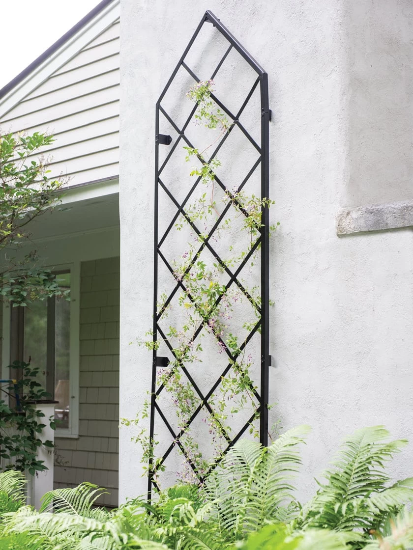 Lattice Gable Wall Trellis
