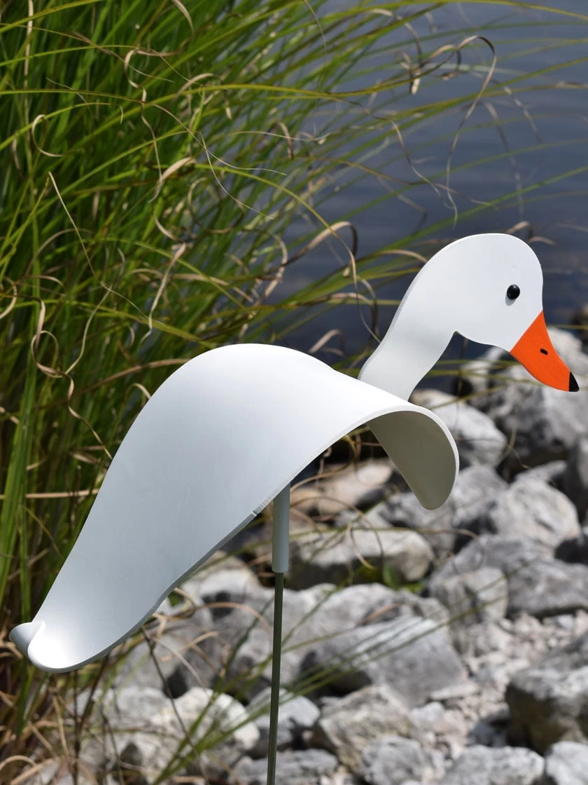 Florida Dancing Birds®, White Duck