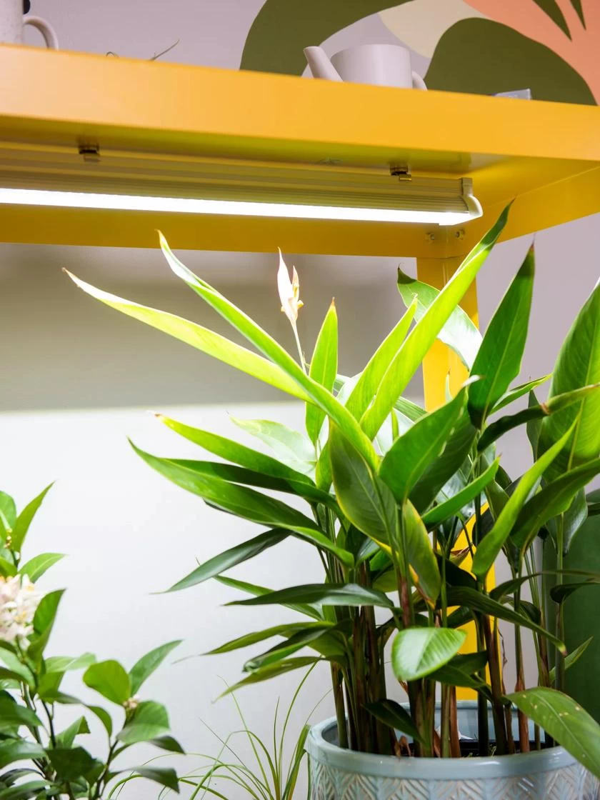 Mobile LED Grow Light Cart - Image 2