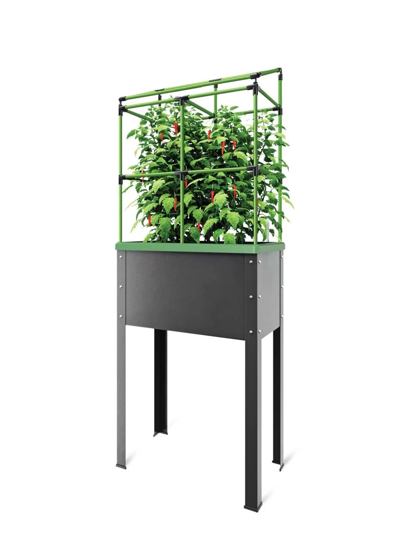City Jungle® Heidelberg Tomato Trellis