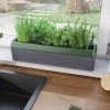 Provence Self-Watering Herb Planter