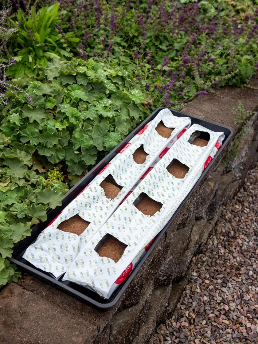 Berry Blend Coir Grow Bag, Set Of 2 - Image 3