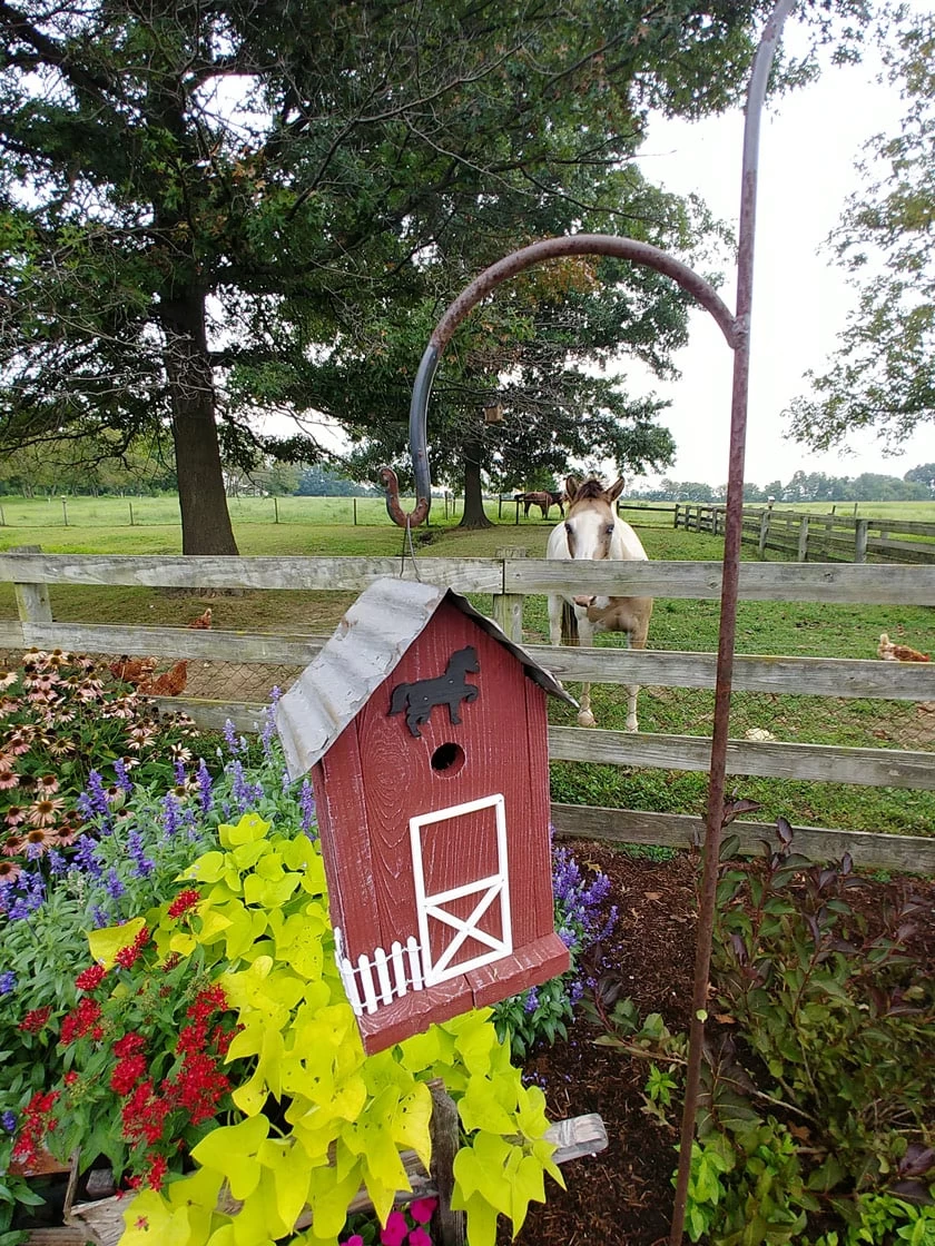 Summitville Stable Bird House - Image 6