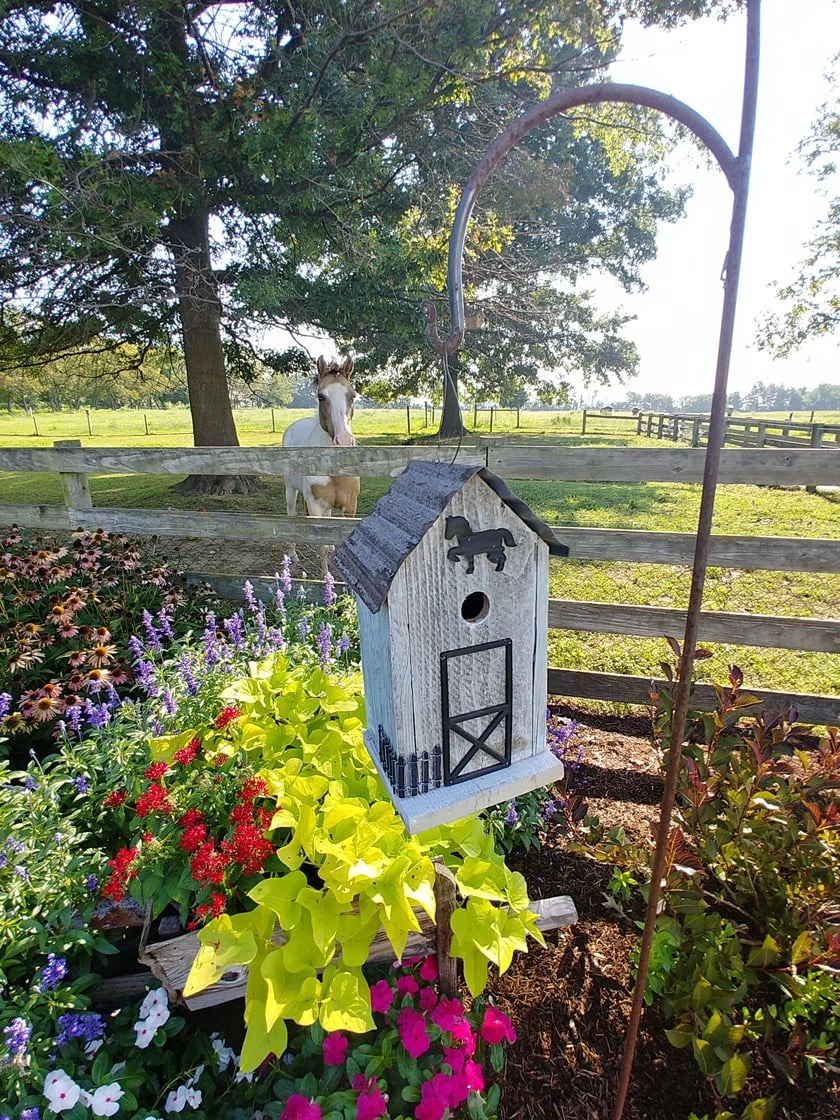 Summitville Stable Bird House