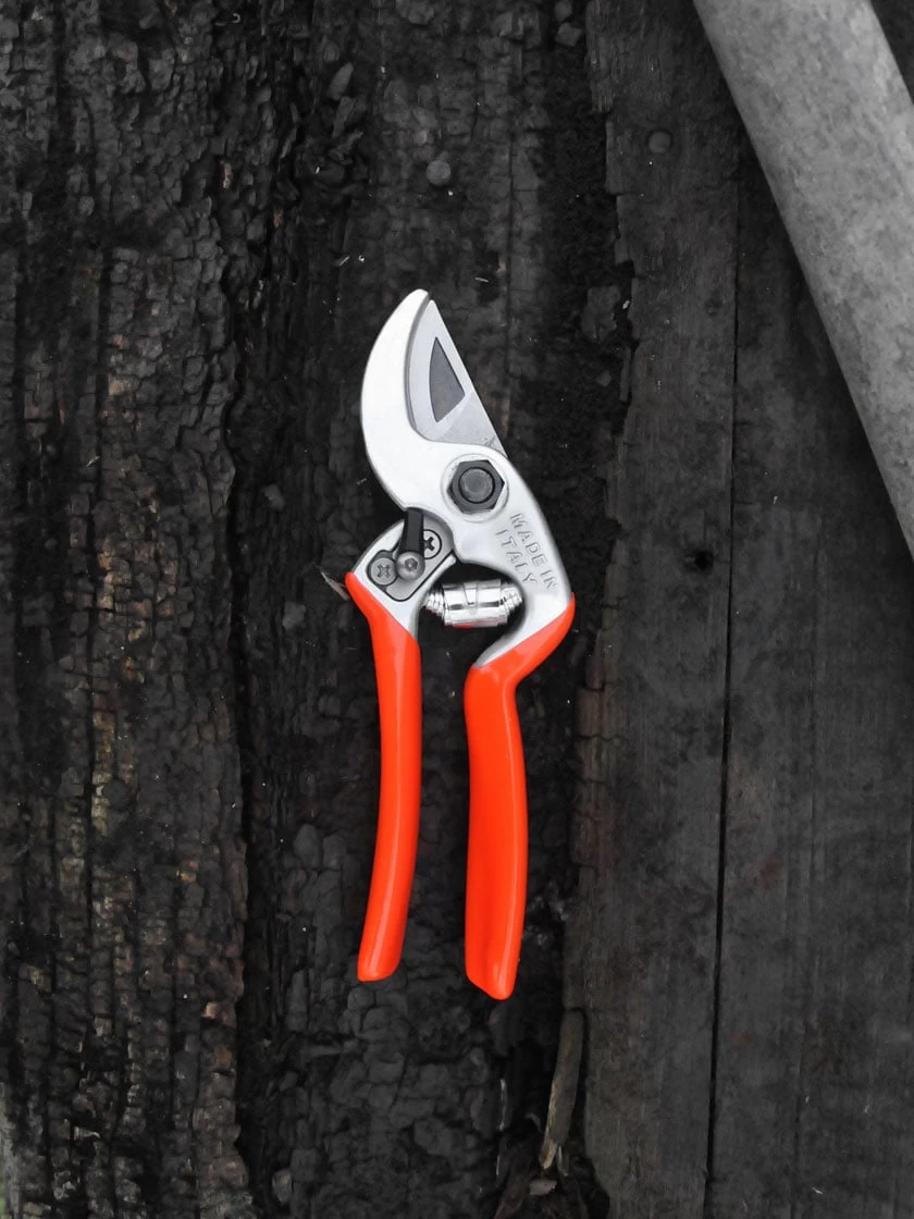 Castellari Mini Anvil Pruner - Image 2