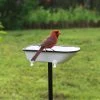 White Enamel Bathtub Birdbath