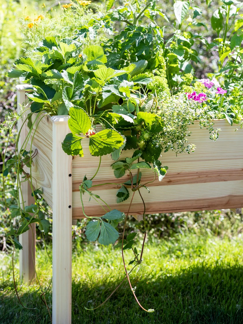 Standing Garden Bed - Image 2