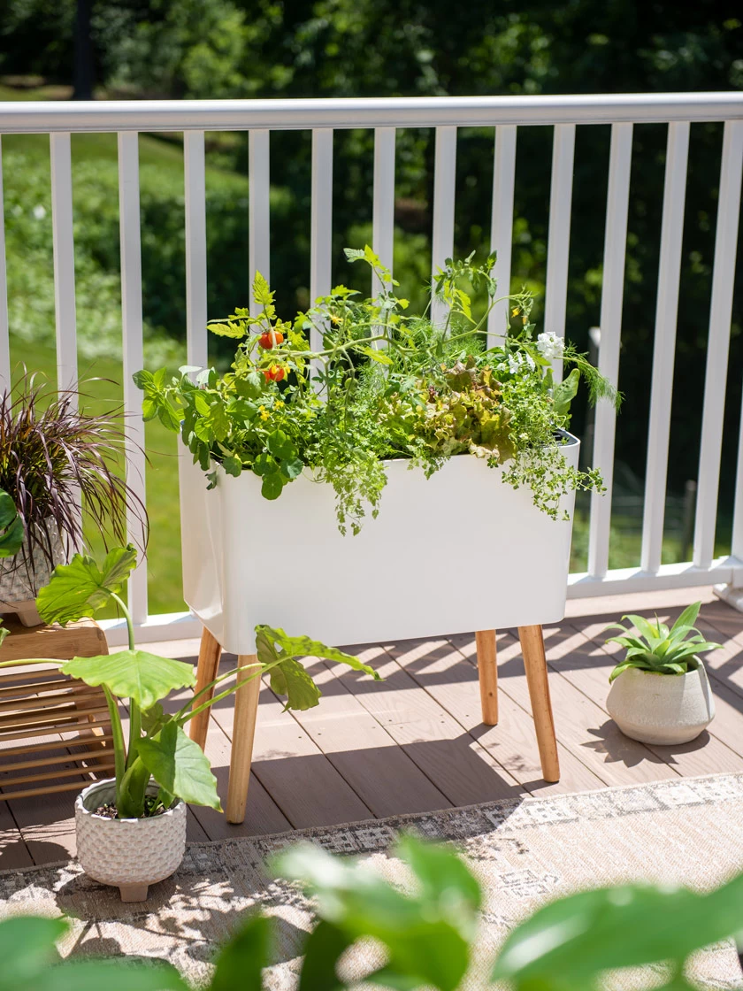 Ava Self-Watering Rectangular Planter - Image 2