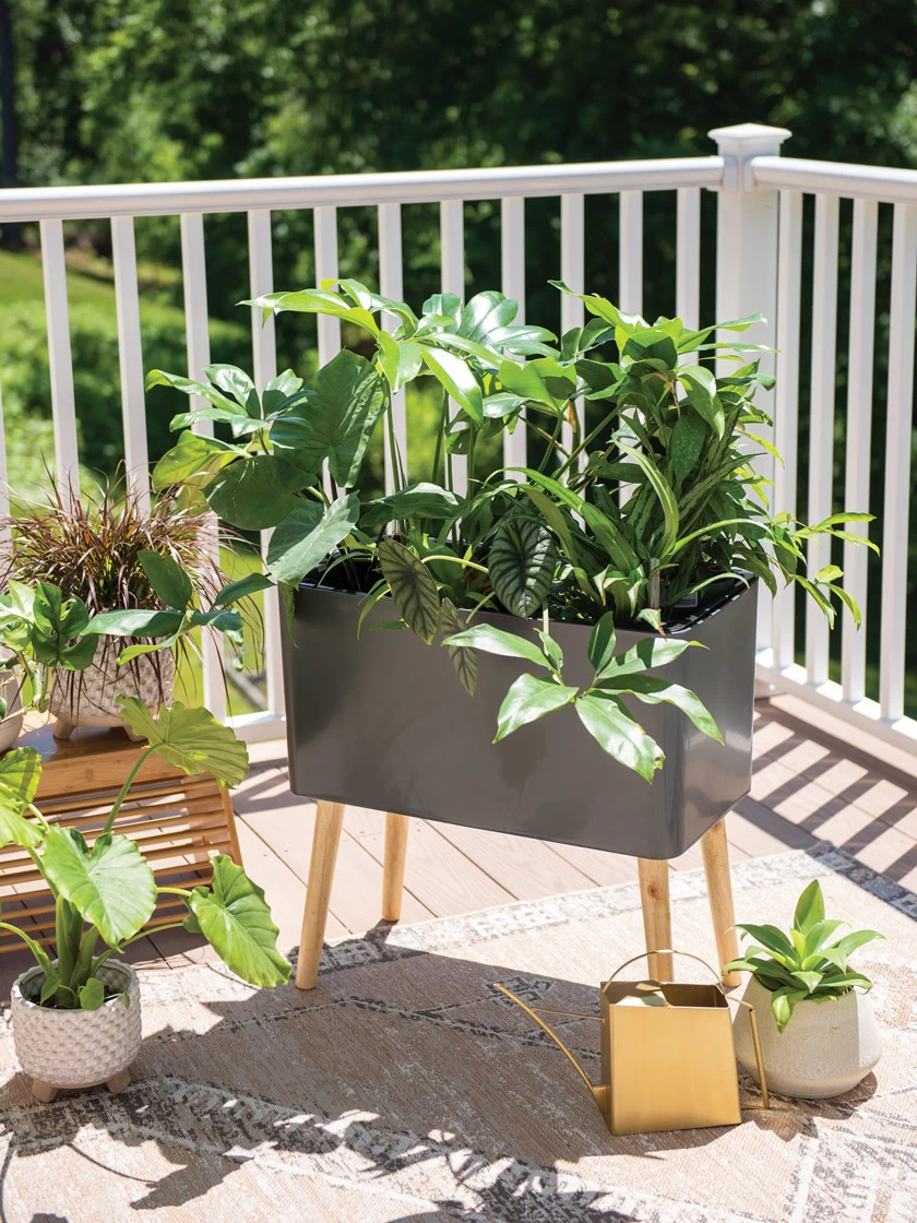 Ava Self-Watering Rectangular Planter