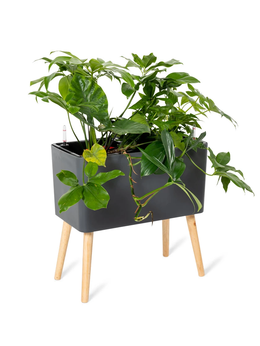 Ava Self-Watering Rectangular Planter - Image 4