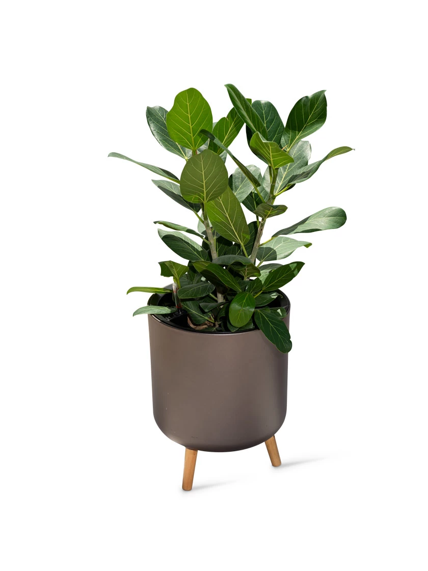 Ava Self-Watering Round Planter - Image 4