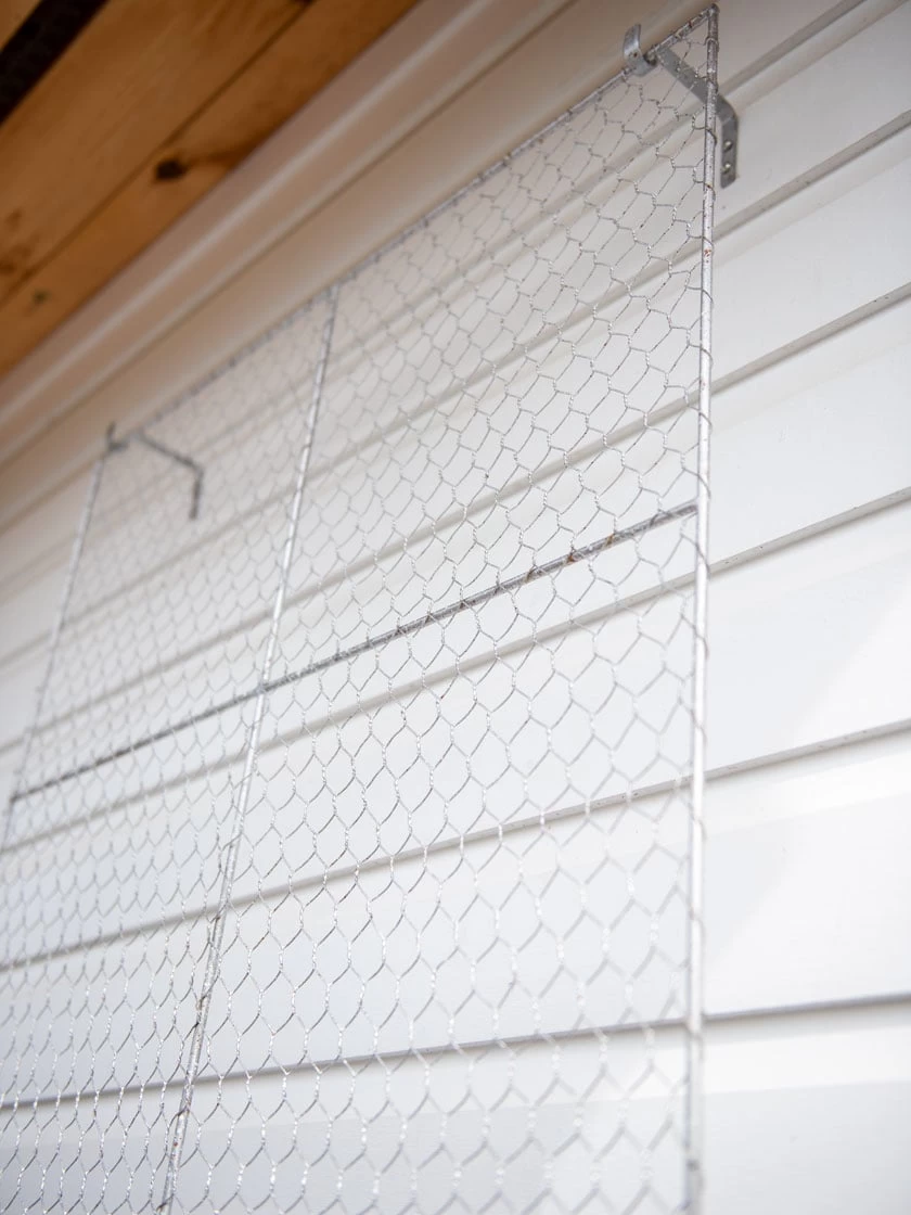 Chicken Wire Wall Trellis - Image 8