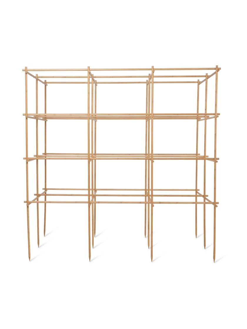 Tomato Six Pack Support - Image 6