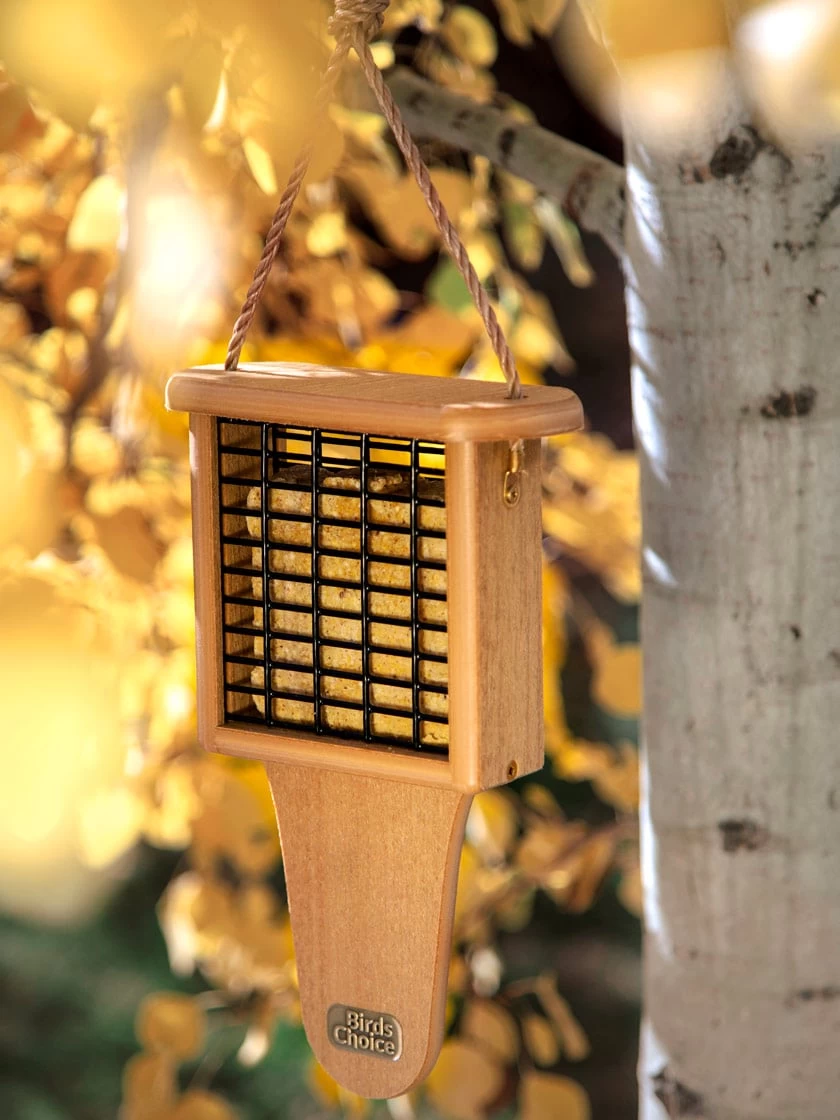 Spruce Creek Tail Prop Suet Feeder