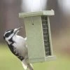 Birds Choice™ Suet Feeder