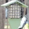 Birds Choice™ Tail Prop Feeder