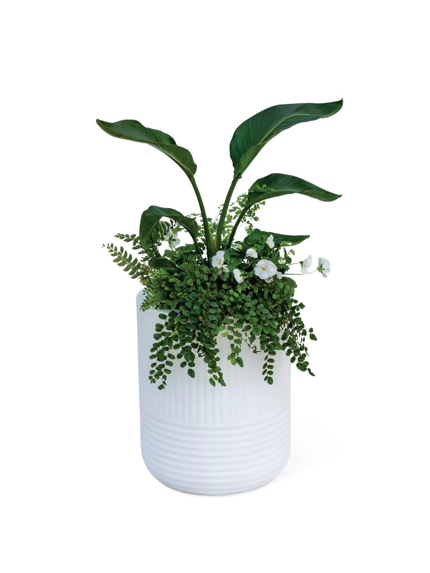 Arden Round Planter - Image 6