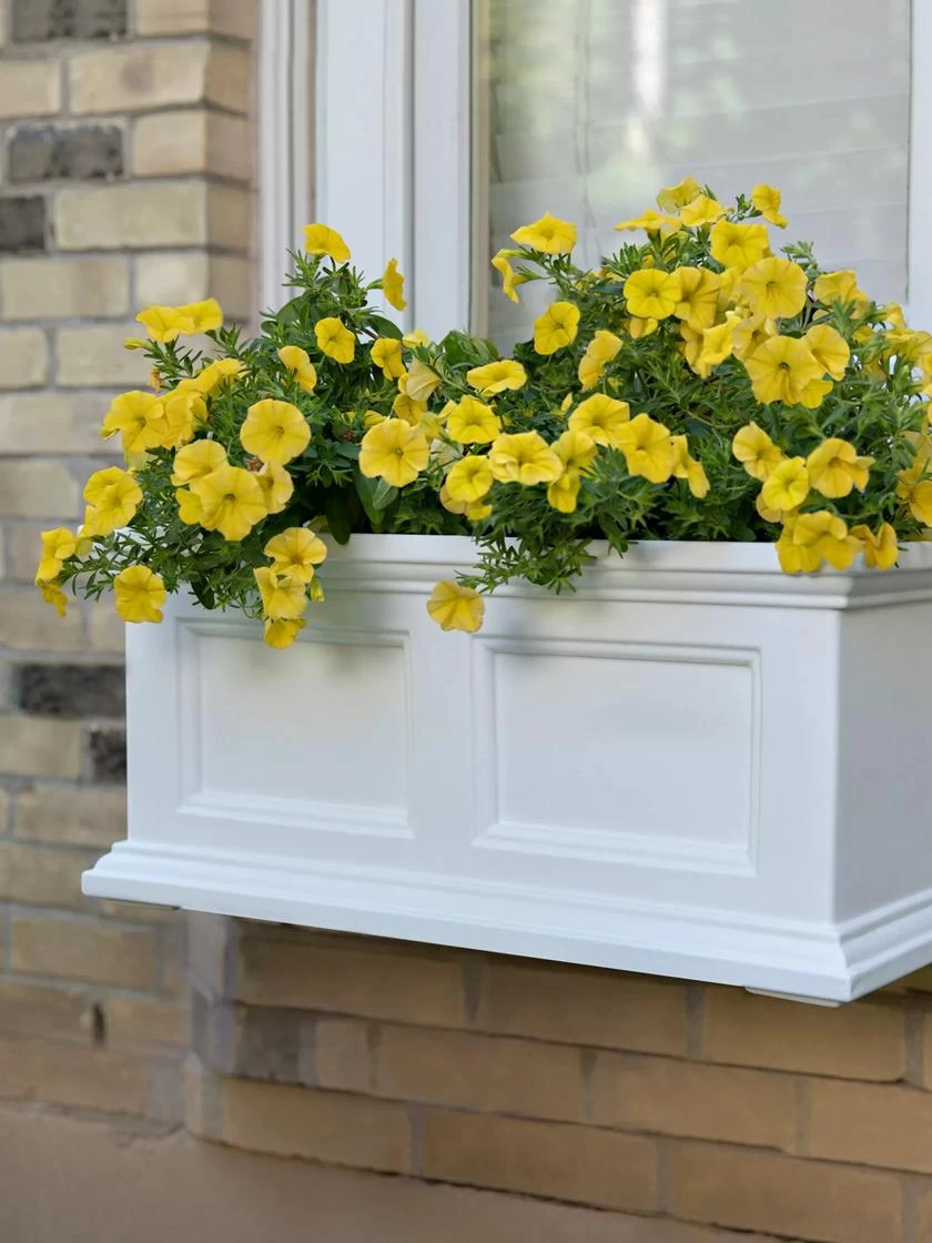 Fairfield Self-Watering Window Box, 2’ - Image 2