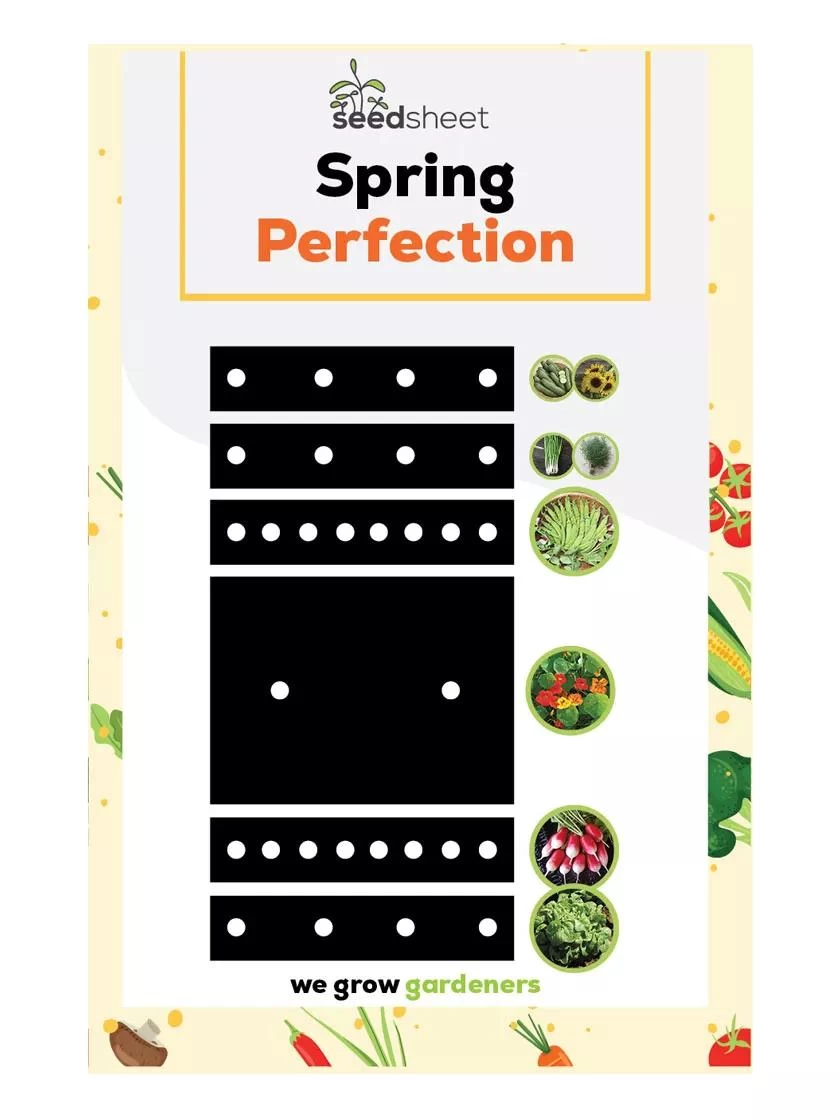 SeedSheets Organic Vegetable Garden, Spring Perfection, 4' X 8' - Image 2