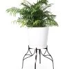 Aubrey Adjustable Plant Stand