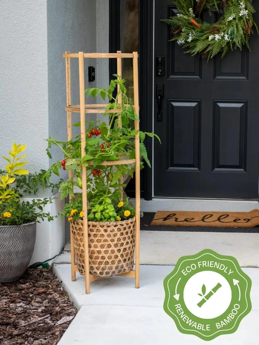 Elevated Bamboo Tomato Planter And Trellis