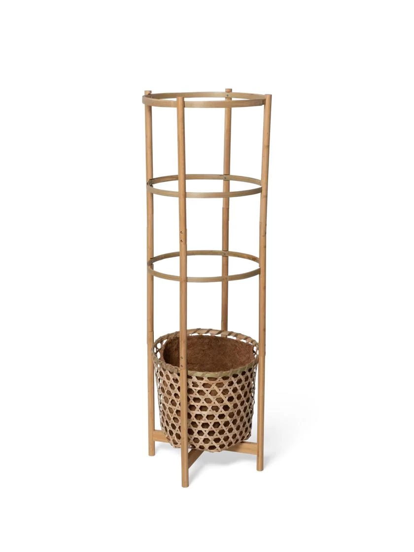 Elevated Bamboo Tomato Planter And Trellis - Image 4