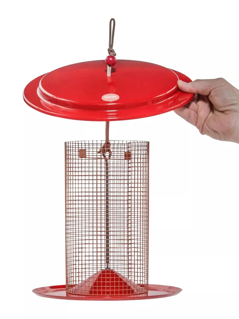 Color Pop Sunflower Seed Bird Feeder - Image 2