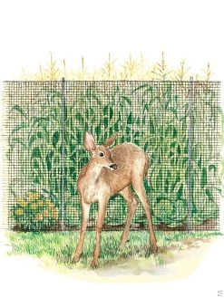 Easy-Up Lightweight Fence